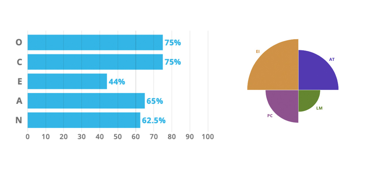 Fig 1 - Patricio Land's personality test results