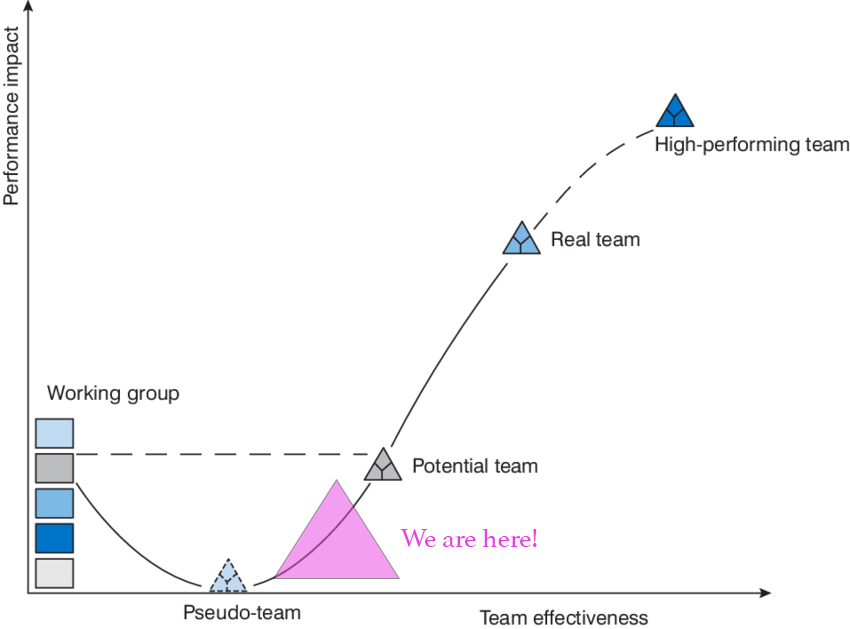 Fig 9 - Team Performance Curve for The Wild Branch based upon Katzenback and Smith scheme 